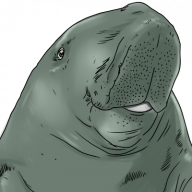 t-dugong